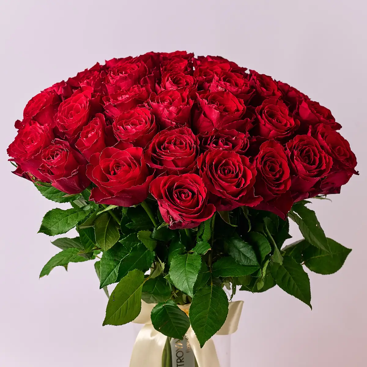 Букет 35 Троянд червоних Мадам Ред купити недорого в Україні, фото 2