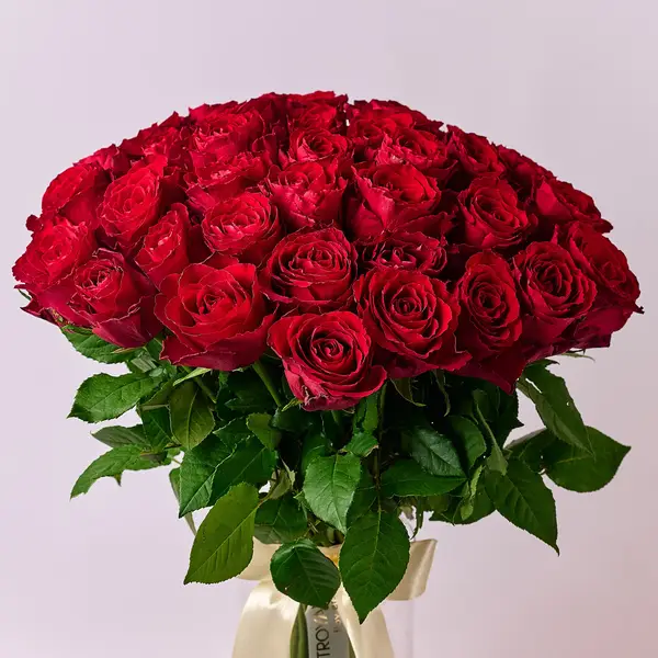 Букет 35 Троянд червоних Мадам Ред купити