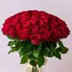 Букет 35 Троянд червоних Мадам Ред купити