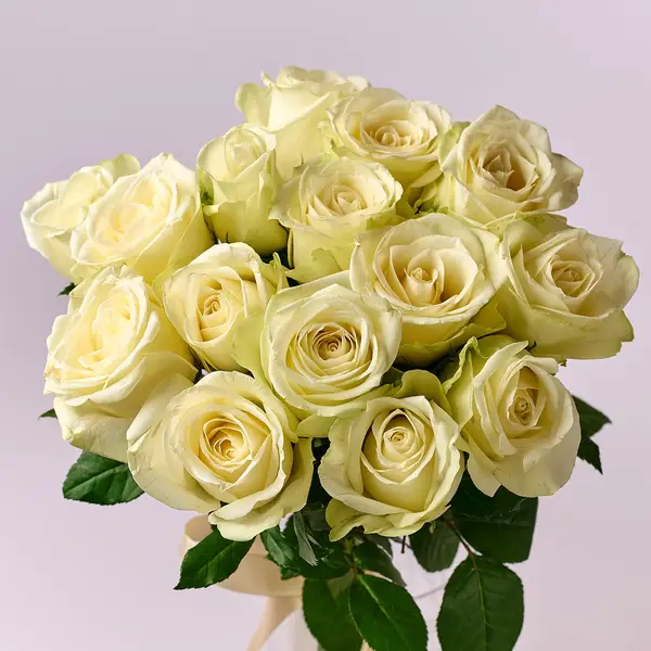 Букет 15 Троянд білих Сновсторм купити