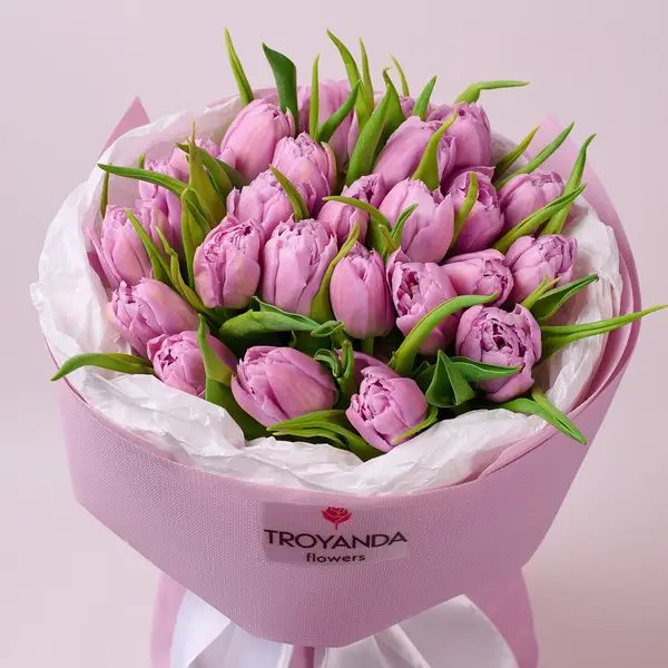 Букет 25 Лавандових піоновидних Тюльпанів купити