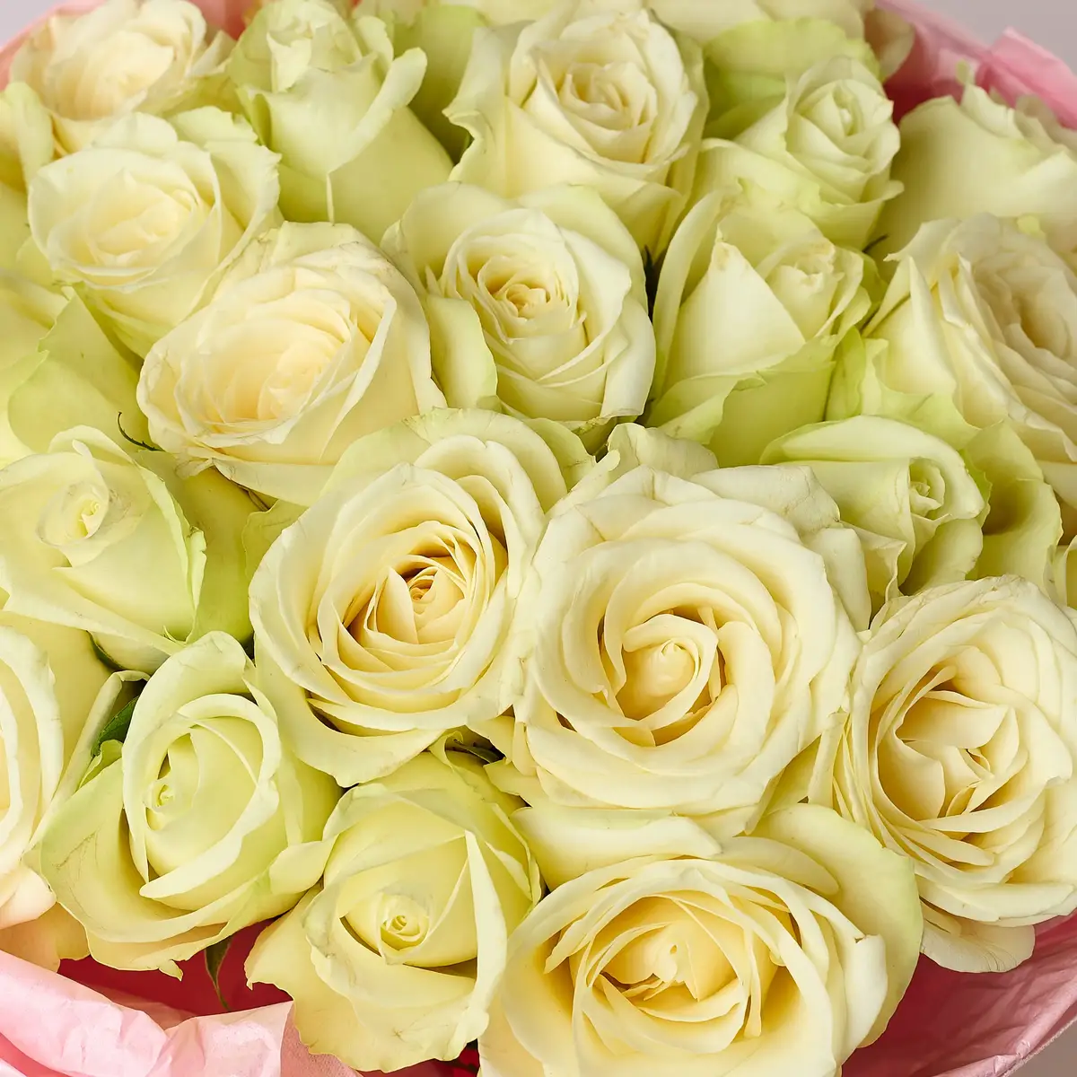 Букет 27 Троянд білих Сновсторм купити недорого в Україні, фото 3