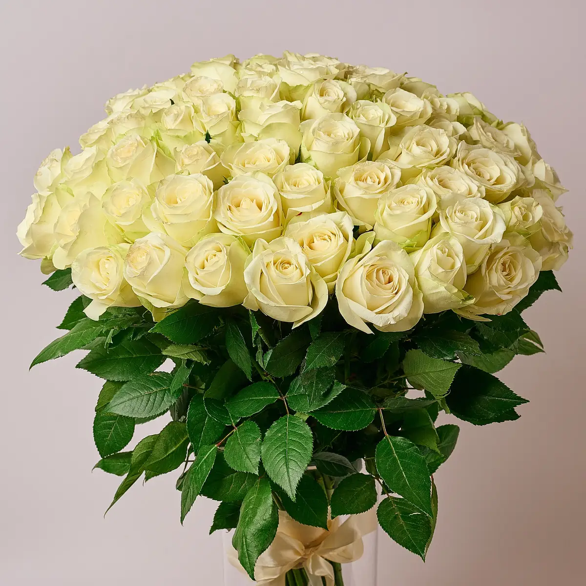 Букет 75 Роз белых Сновсторм купить недорого в Украине, фото 2