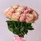 Букет 17 Троянд Пінк Атена купити