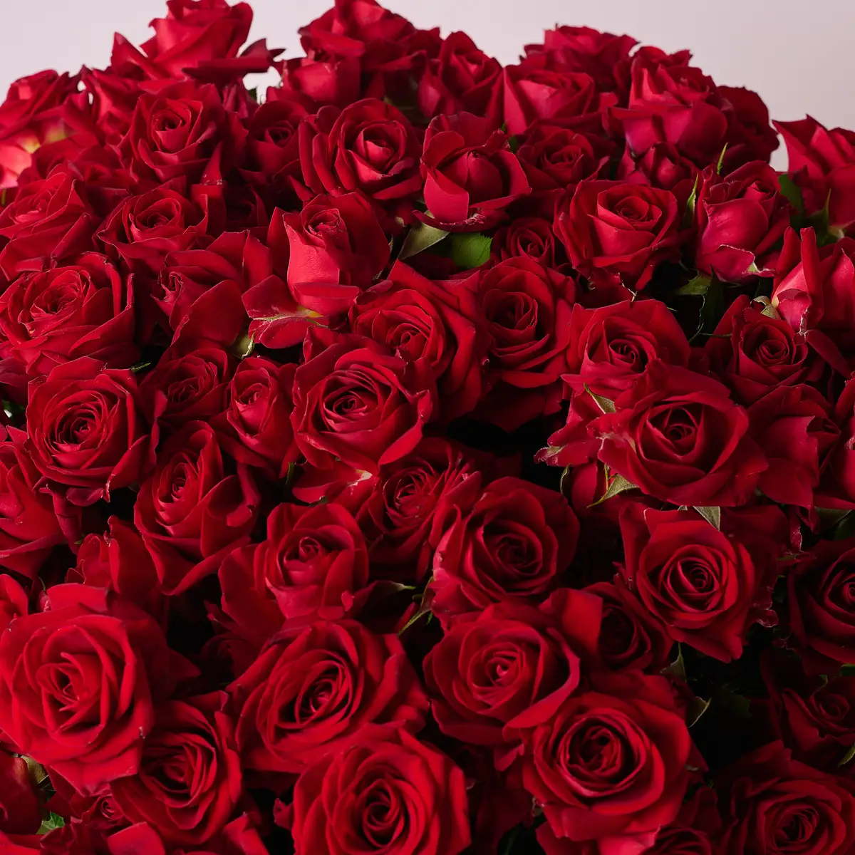 Букет 25 Троянд спрей Домініка купити недорого в Україні, фото 3
