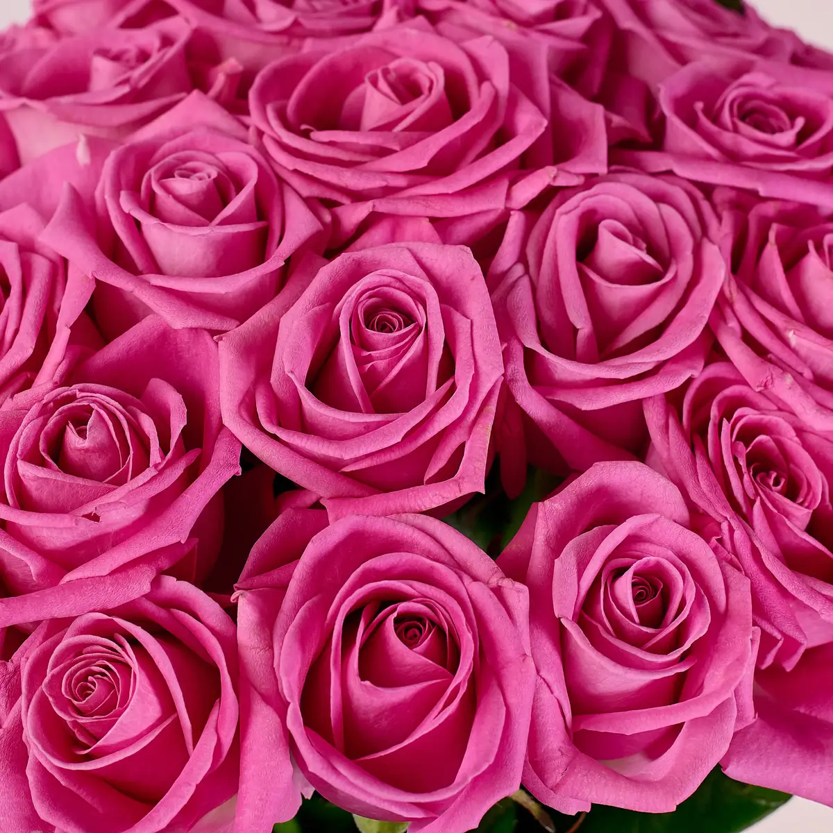 Букет 27 Троянд Аква купити недорого в Україні, фото 3