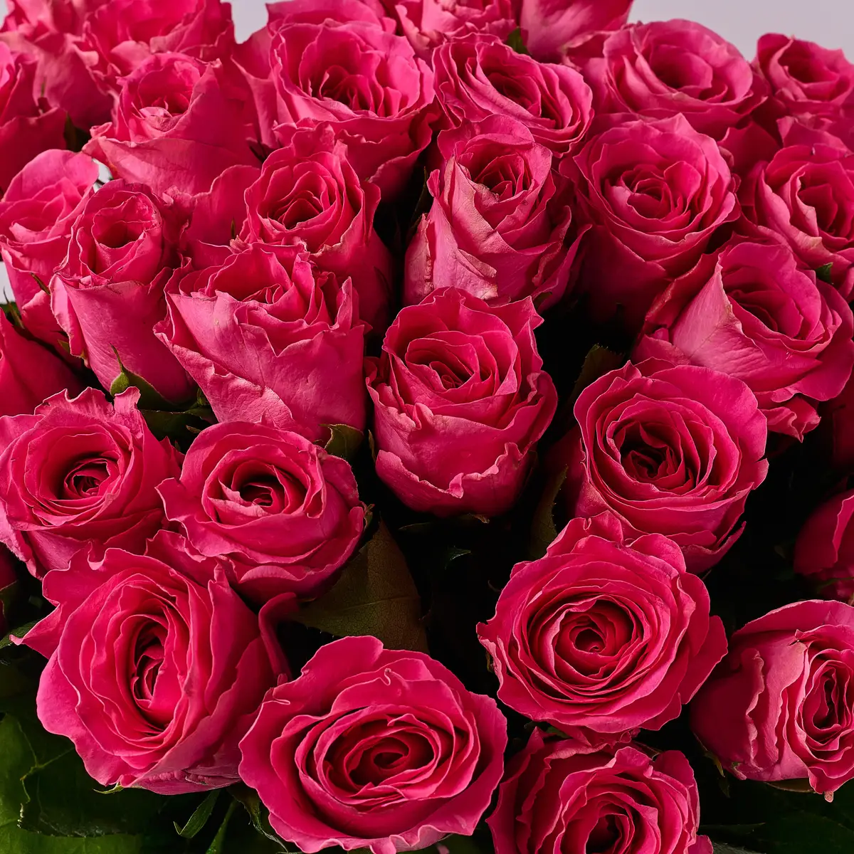 Букет 35 Троянд Вотергейм купити недорого в Україні, фото 3