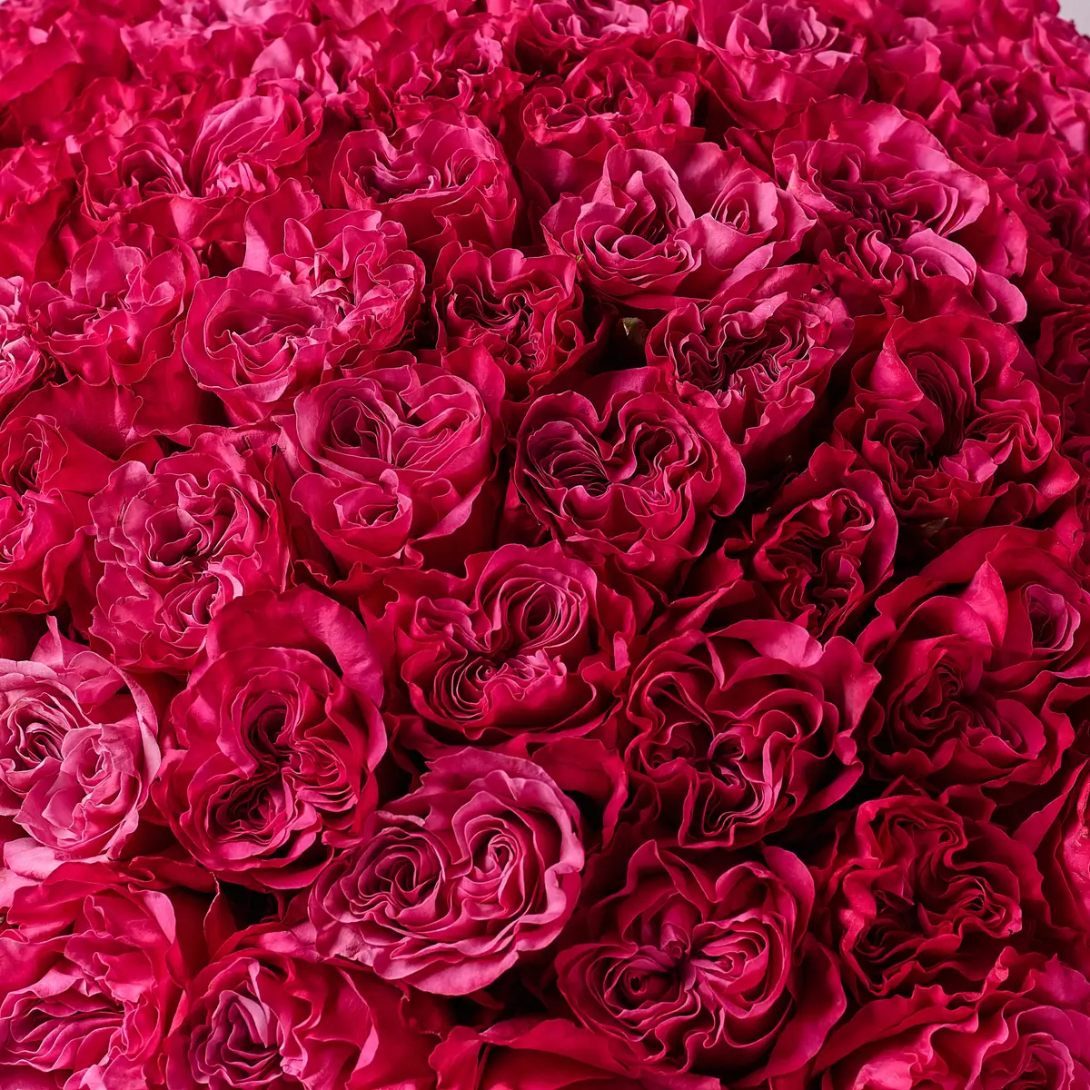 Букет 75 Роз Кантри Блюз купить недорого в Украине, фото 3