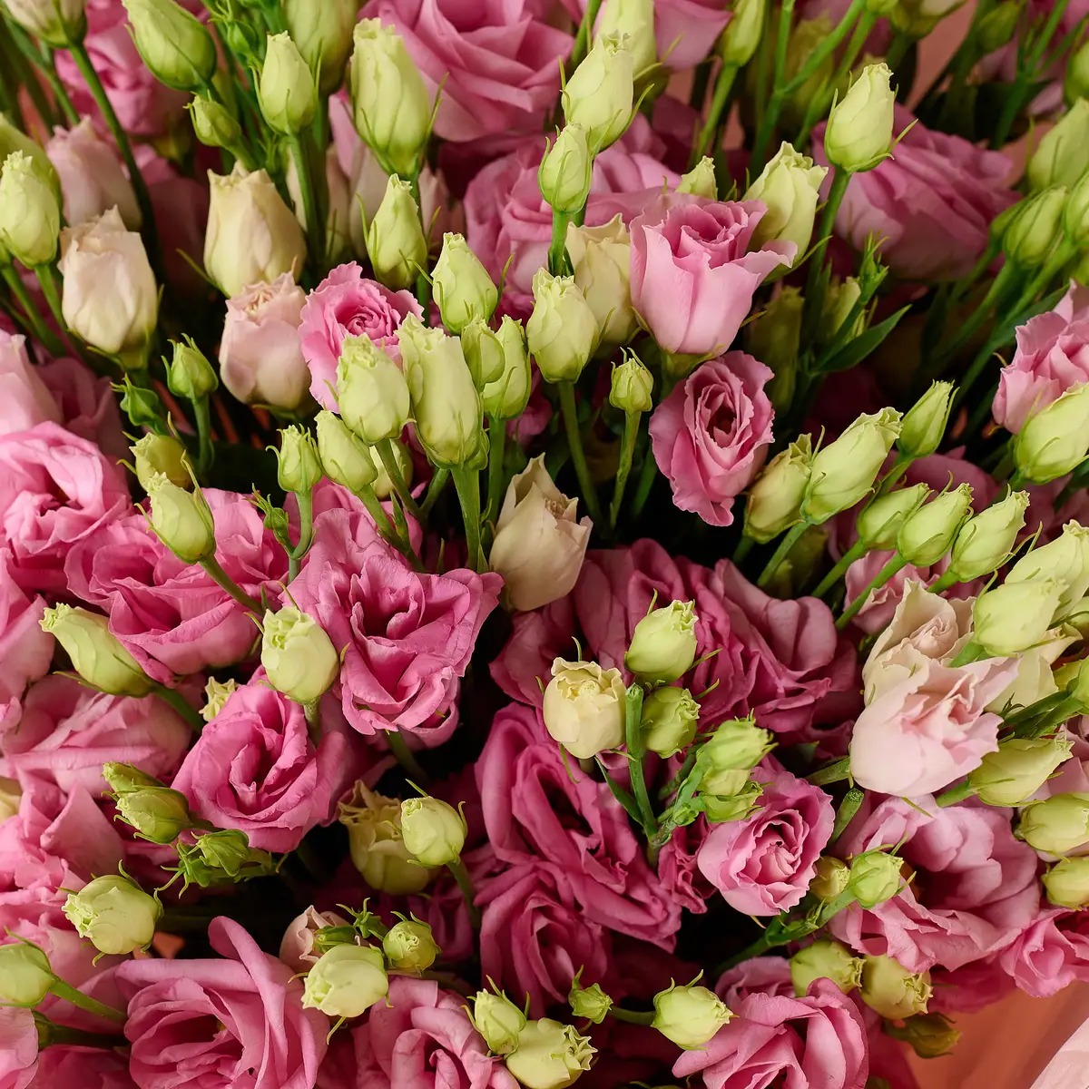 Букет 15 розовых эустом купить недорого в Украине, фото 3