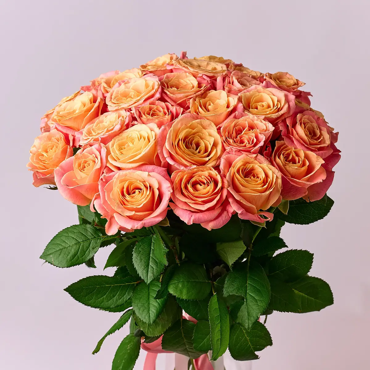 Букет 19 Троянд Міс Піггі купити недорого в Україні, фото 2