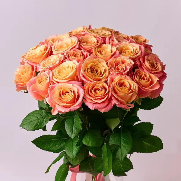 Букет 19 Троянд Міс Піггі купити