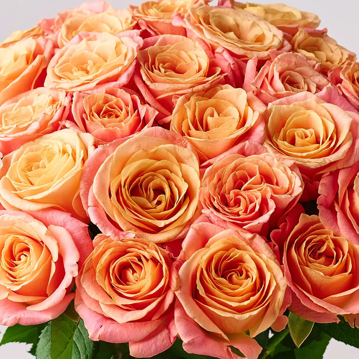 Букет 19 Троянд Міс Піггі купити недорого в Україні, фото 3