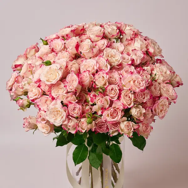 Букет 25 Троянд спрей Рефлекс купити