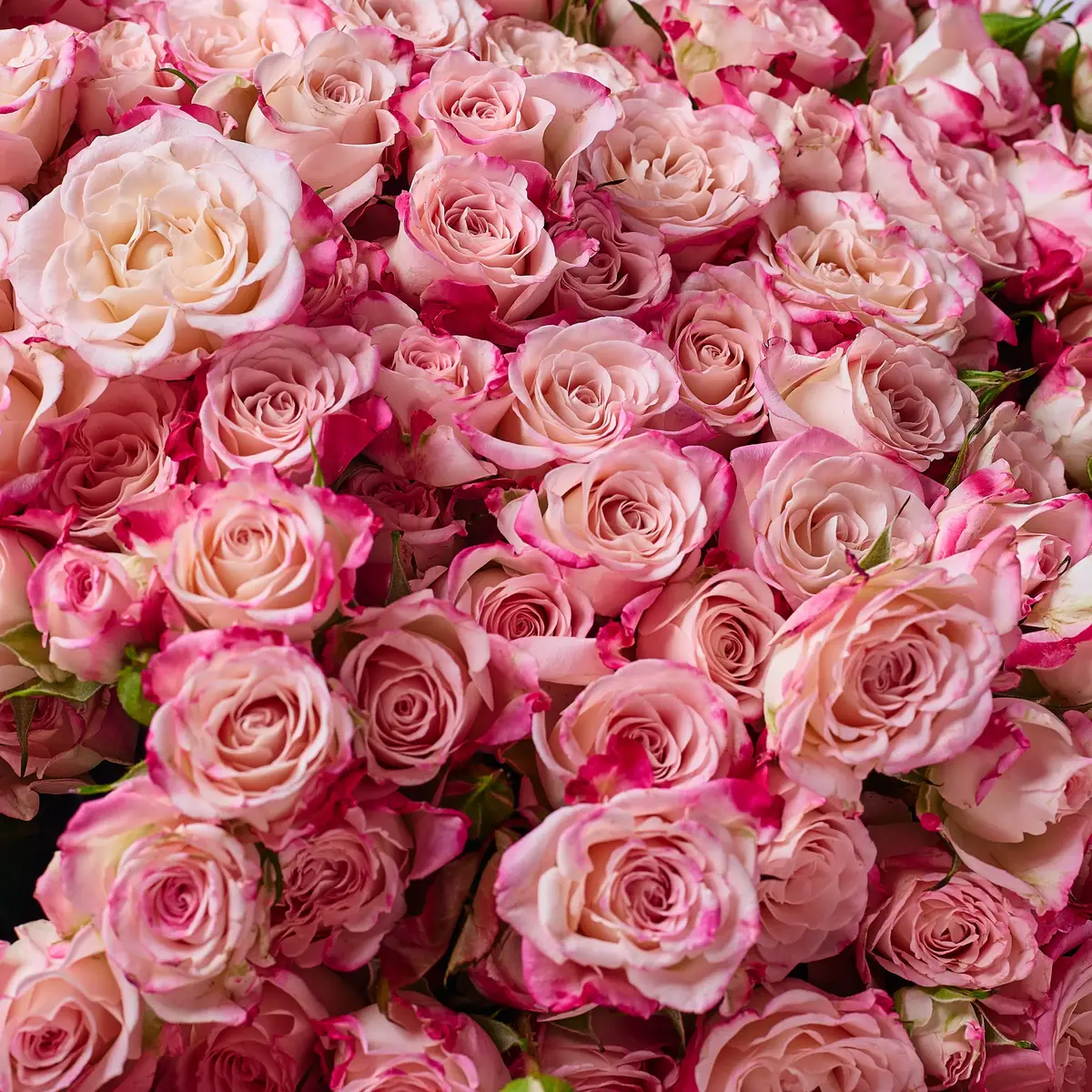 Букет 31 Троянда спрей Рефлекс купити недорого в Україні, фото 3