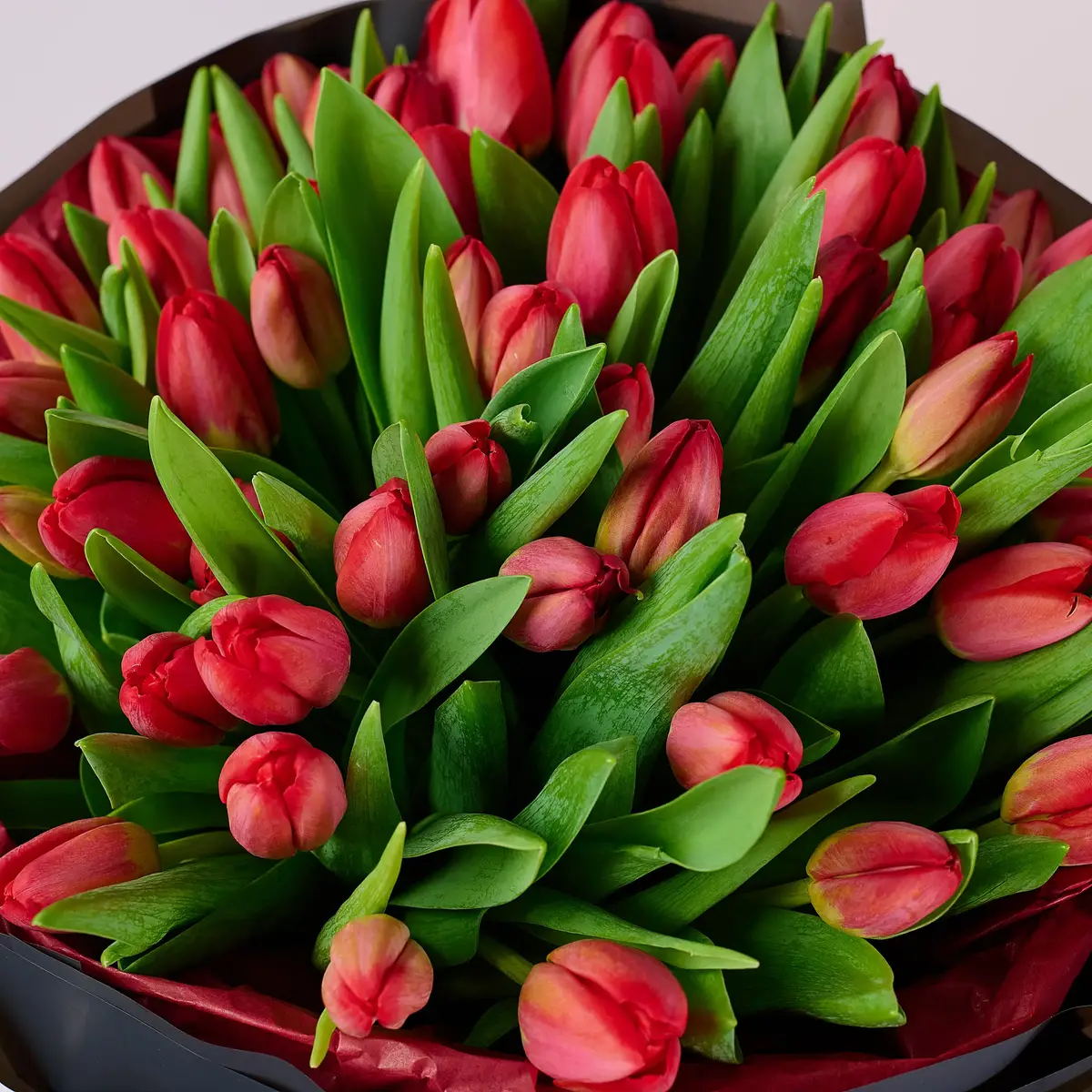 Букет 51 Червоний Тюльпан купити недорого в Україні, фото 3