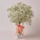 Букет 11 Білих Гіпсофіл купити недорого в Україні, фото 164