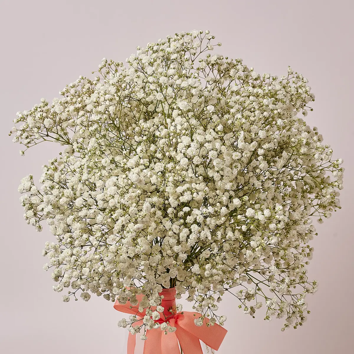 Букет 11 Білих Гіпсофіл купити недорого в Україні, фото 2