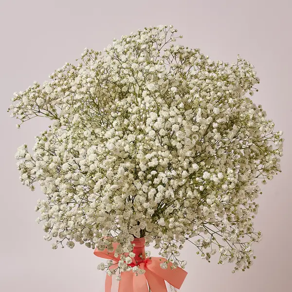 Букет 11 Білих Гіпсофіл купити