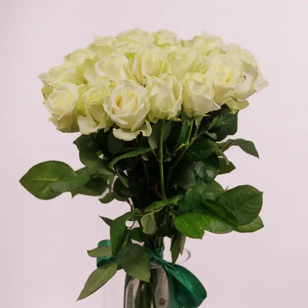 Букет 19 Троянд білих Аваланч купити