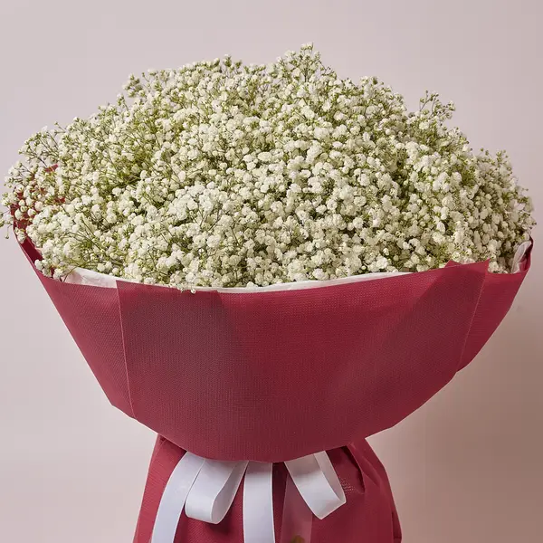 Букет 25 Білих Гіпсофіл купити