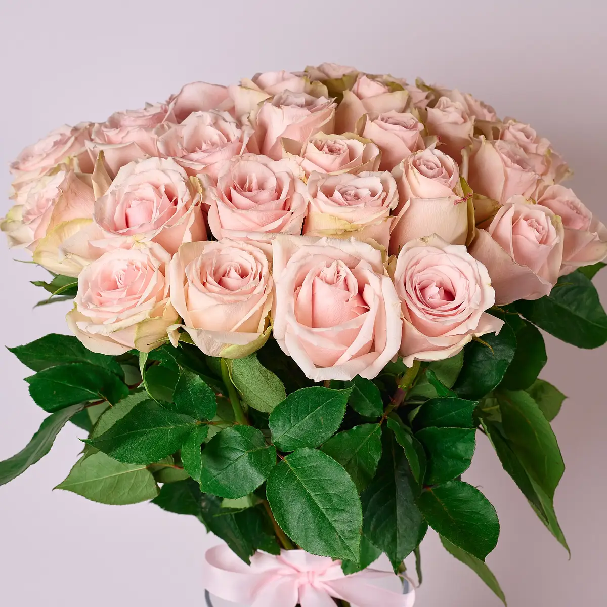 Букет 35 Троянд Хай Брайдл купити недорого в Україні, фото 2