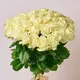 Букет 45 Троянд білих Аваланч купити