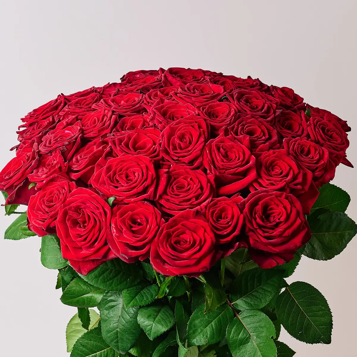 Букет 51 Троянда червона Гран Прі купити недорого в Україні, фото 2