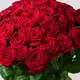 Букет 51 Троянда червона Гран Прі купити