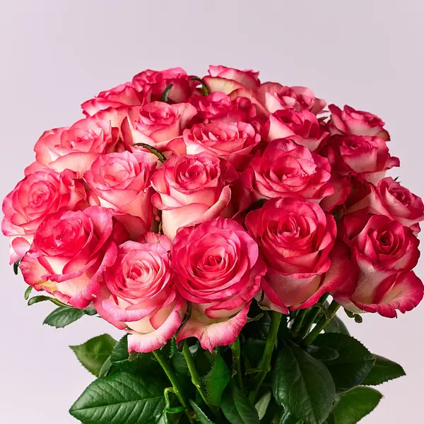 Букет 21 Роза Джумилия купить