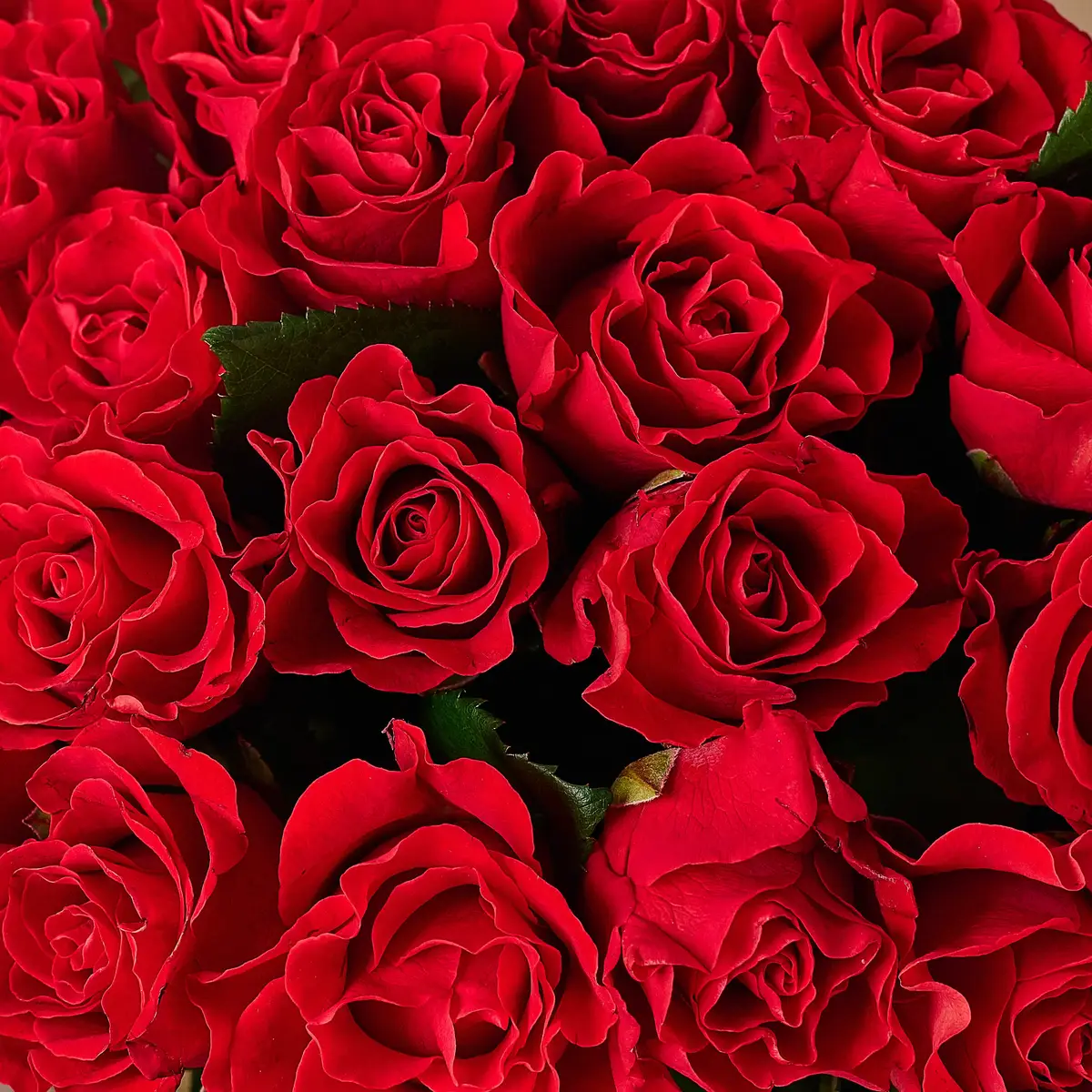 Букет 19 Троянд Ель Торо купити недорого в Україні, фото 3