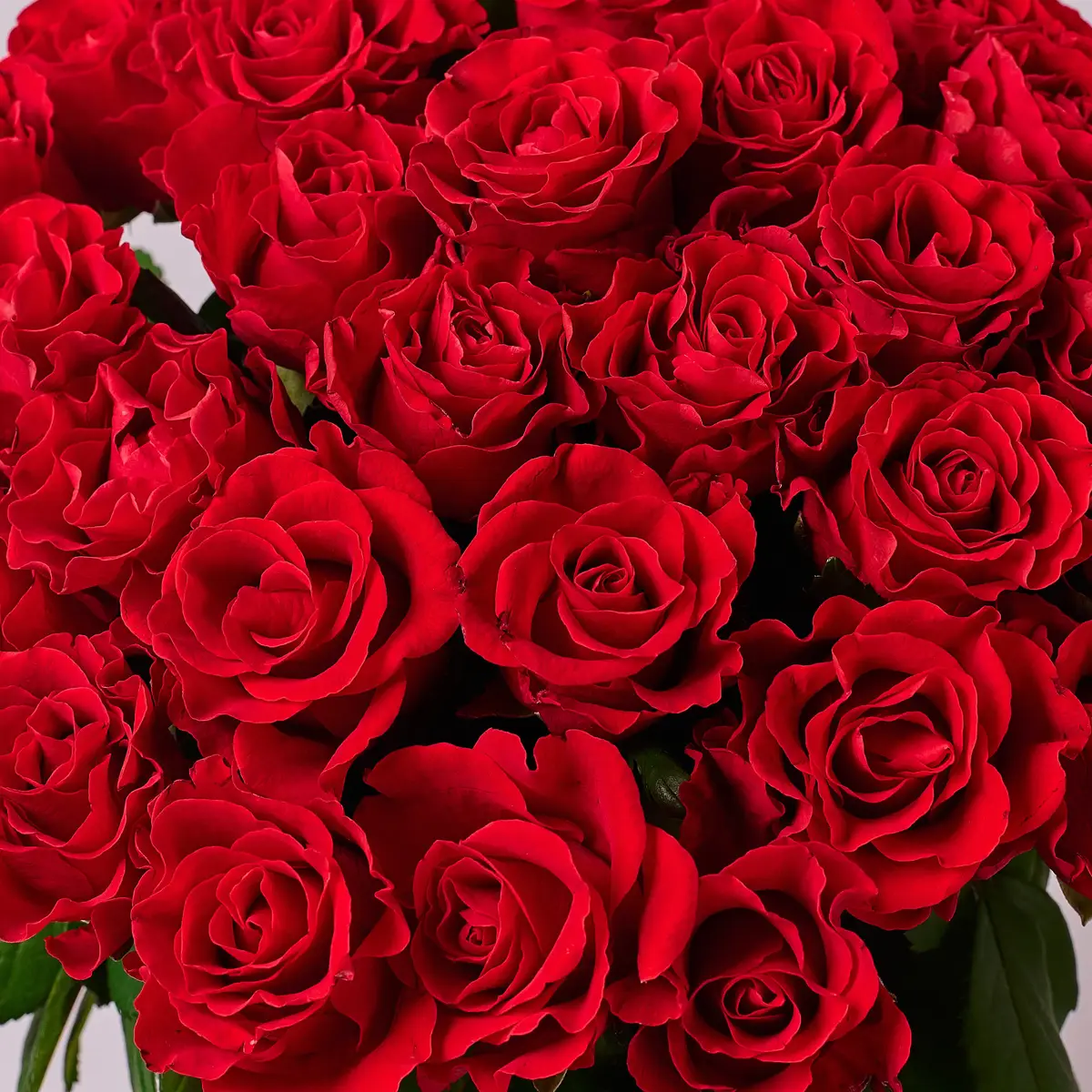 Букет 29 Роз Эль Торо купить недорого в Украине, фото 3