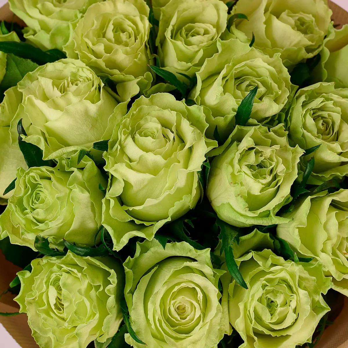 Букет 19 Троянд Камуфляж купити недорого в Україні, фото 3