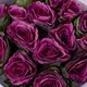 Букет 15 Фиолетовых Брасик купить