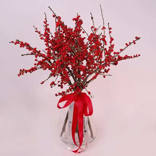 Букет 11 Ветвей Илекса купить