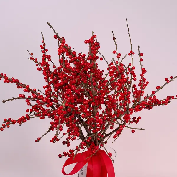 Букет 11 Ветвей Илекса купить