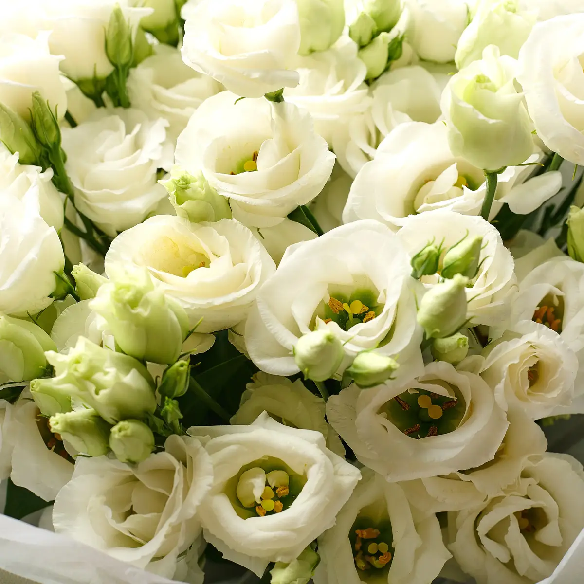 Букет 9 Белых эустом. купить недорого в Украине, фото 3