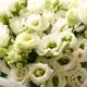 Букет 9 Белых эустом. купить