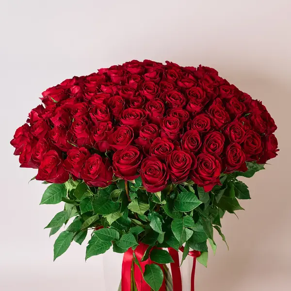 Букет 101 Троянда червона Мадам Ред купити