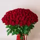 Букет 101 Троянда червона Мадам Ред купити