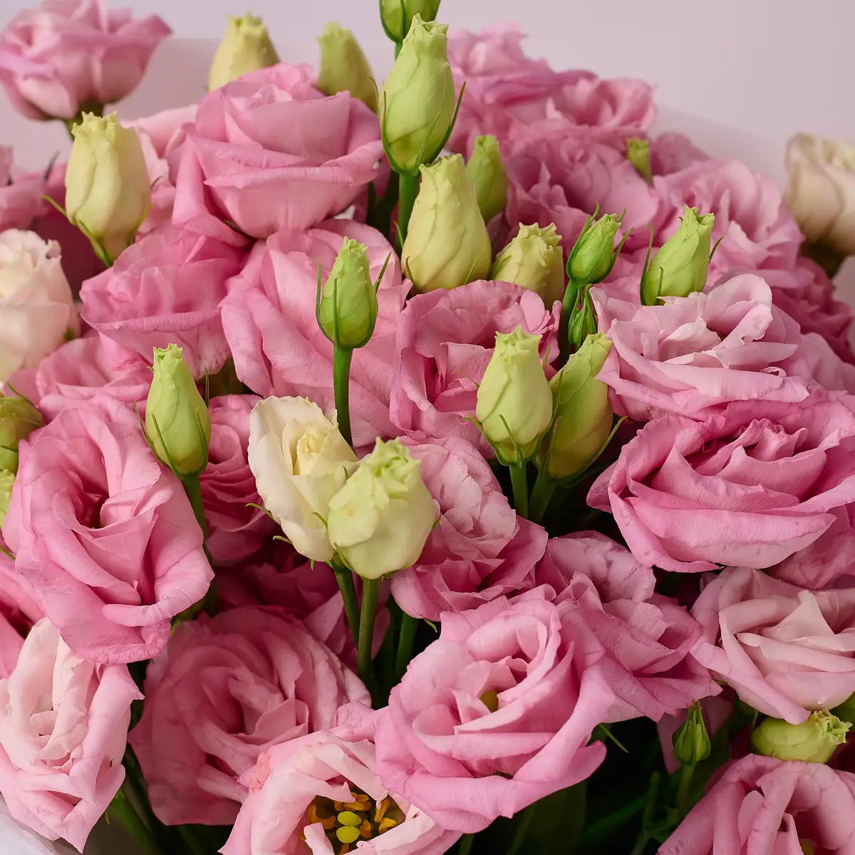 Букет из 9 розовых эустов. купить недорого в Украине, фото 3