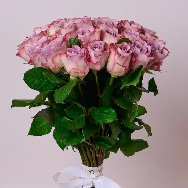 Букет 25 Троянд Меморі Лейн купити