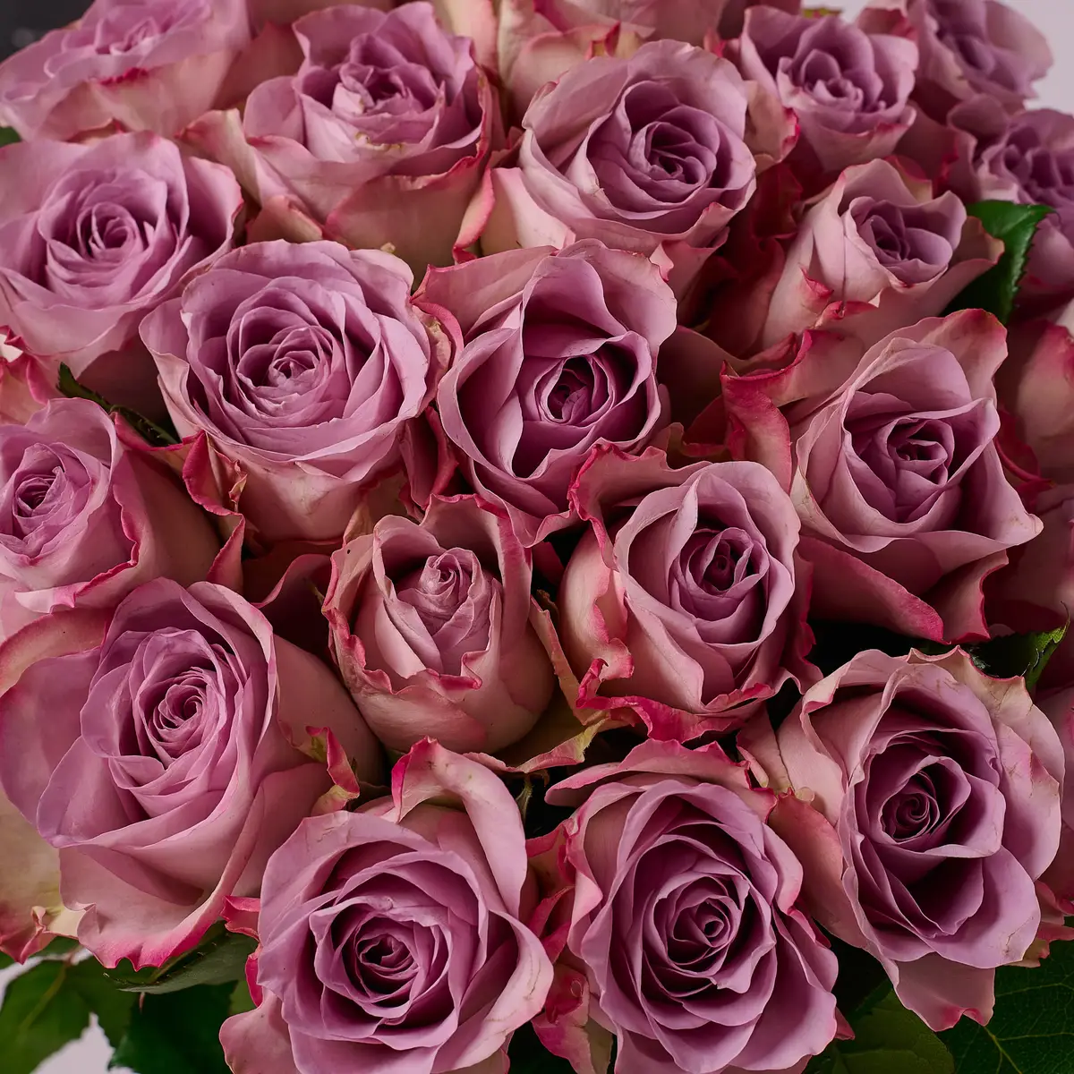 Букет 25 Троянд Меморі Лейн купити недорого в Україні, фото 3