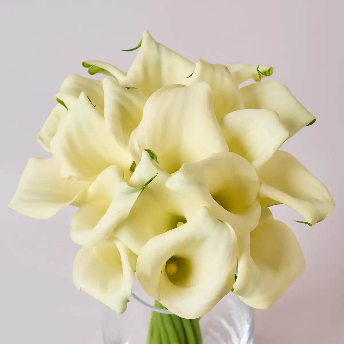 Букет 19 білих зантедескій купити недорого в Україні, фото 2