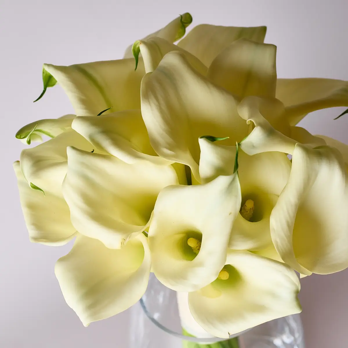 Букет 19 білих зантедескій купити недорого в Україні, фото 3