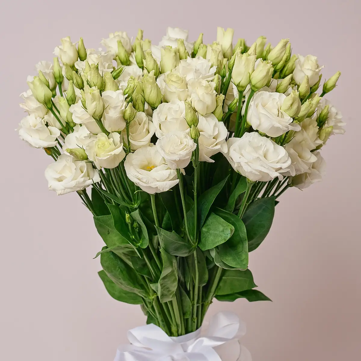 Букет 15 Белых эустом купить недорого в Украине, фото 2