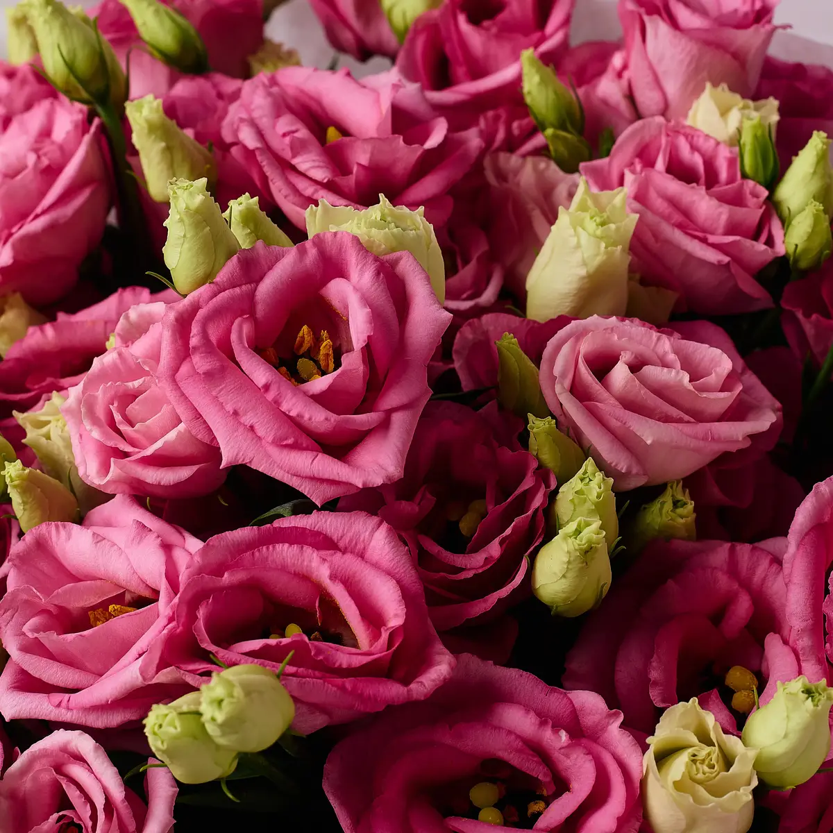 Букет 19 розовых эустом купить недорого в Украине, фото 3