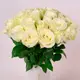 Букет 27 Троянд білих Сновсторм купити