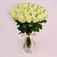 Букет 51 Троянда Атена купити недорого в Україні, фото 307