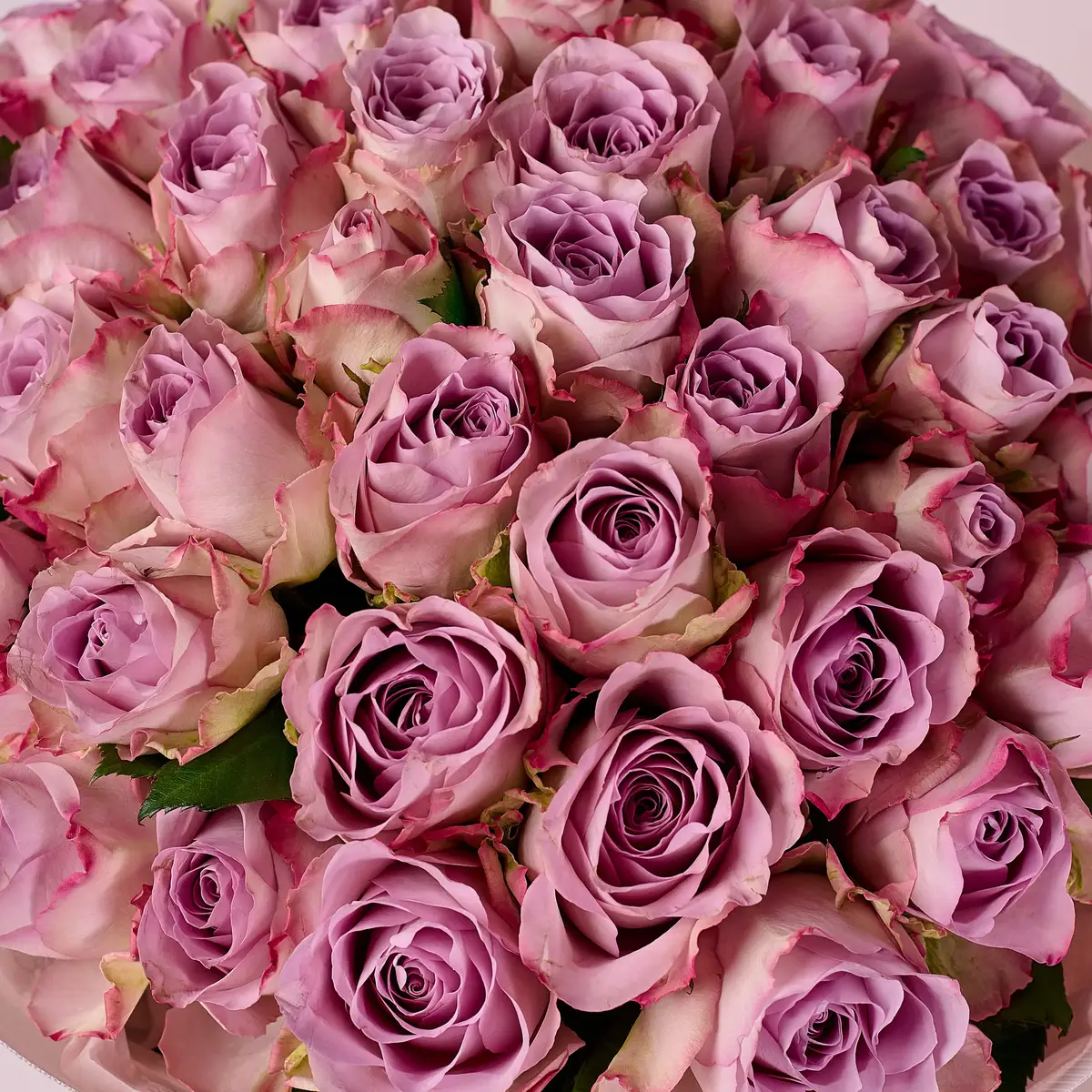 Букет 41 Троянда Меморі Лейн купити недорого в Україні, фото 3