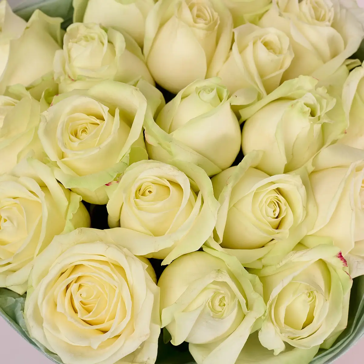 Букет 19 Роз белых Аваланч купить недорого в Украине, фото 3
